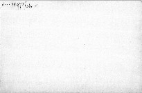 Das neue Dschungelbuch