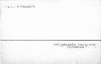 Bettina pflückt wilde Narzissen.