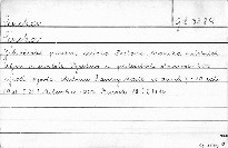 Sepekov :
