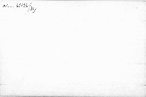 Ĺ Oiseau d Or.