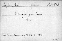 Le dangereux jeune homme