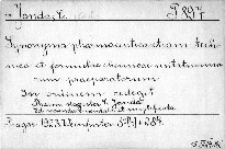 Synonyma Pharmaceutica