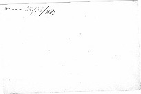 Svatý František Serafinský