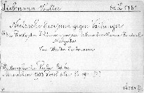 Nietzsche für und gegen Vaihinger.