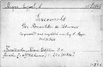 Grünewald.Der Romantiker des Schmerzes.