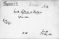 Sainte Lydwine de Schiedam.