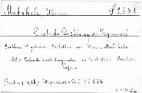 Deutsche Dichtung der Gegenwart