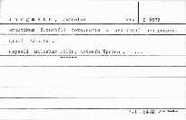 Praktikum černobílé fotografie a promítání