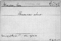 Clemenceau intime
