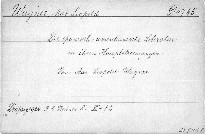Die spanisch-amerikanische Literatur in