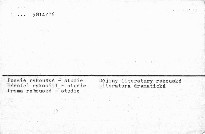 Österreichisches Dichter Seit Grillparzer.
