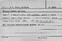 Utrpení mladého Werthera