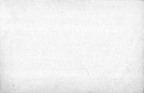 Liebe und Liebes-Leben in der Thierwelt