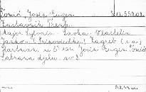 Zastavnik Trenk