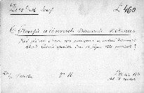 O filosofii a činnosti Bernarda Bolzana