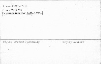 Geschichte der Araber