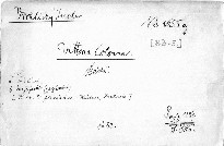 Vittoria Colonna