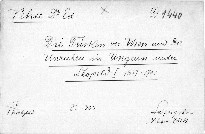 Türken vor Wien