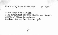 Sturm über den Wipfeln