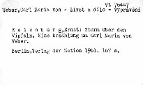Sturm über den Wipfeln