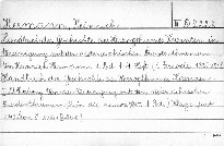 Handbuch der Geschichte des Herzogthumes