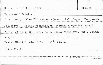 Ve znamení Kon-Tiki