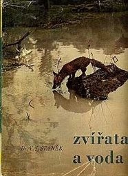 Zvířata a voda