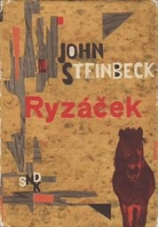 Ryzáček