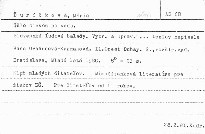 Išlo dievča po vodu