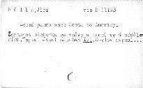 Lesní panna aneb Cesta do Ameriky