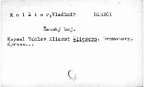 Ženský boj