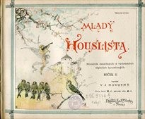 Mladý houslista
(Ročník II.)