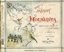Mladý houslista