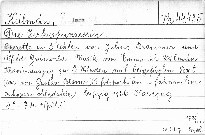 Die Zirkusprinzessin