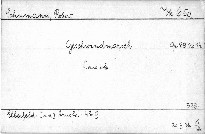Geschwindmarsch