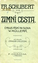 Zimní cesta