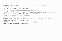 Infoa English grammar analysis
                        ([Díl] 1)
                    