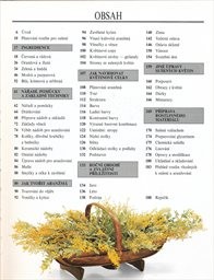 Sušen&eacute; květiny