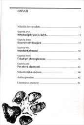 Asijští démoni