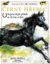 Černý hřebec