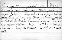 Hundertjährige Jubelfeier der Heiligsprechung des heil. Johann v. Nepomuk, Martyrers und böhmischen Landespatrons