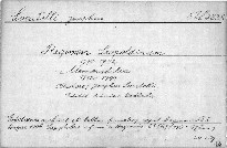 Regimen Leopoldinum