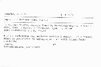 Teplomilná květena jižní Moravy