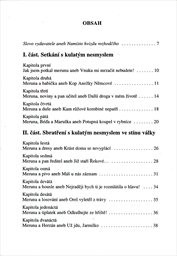 Kulat&yacute; nesmysl