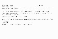 Foreigners in Prague