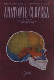 Anatomie člověka