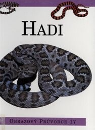 Hadi