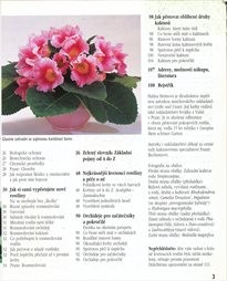 Pokojov&eacute; rostliny s ozdobn&yacute;mi květy