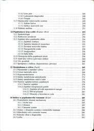 Komplexní léčba popálenin