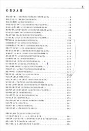 Ryby
                        ([D&iacute;l] 2,)
                    